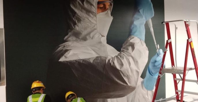 pfizer wall vinyl sticker